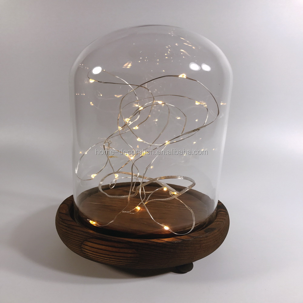 Bell Jar Small Glass Dome with Wood base \\ Taxidermy Glass Butterfly Dome \\ Display Tall Decorative Clear