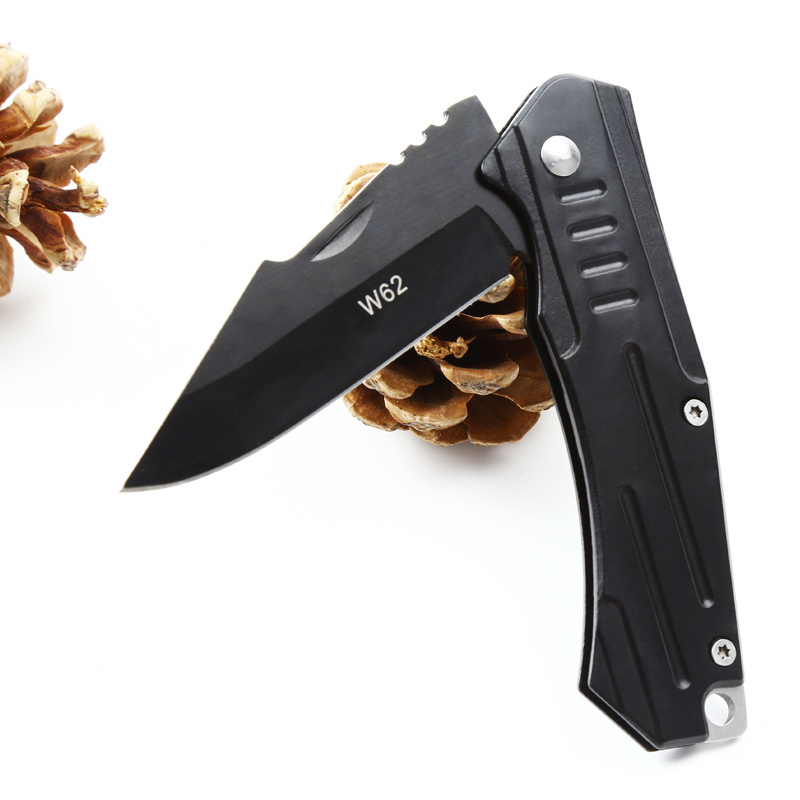 Stainless Steel Blade and Black Handle Folding Pocket Knife