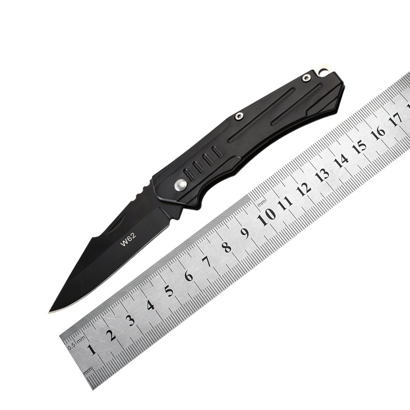 Stainless Steel Blade and Black Handle Folding Pocket Knife