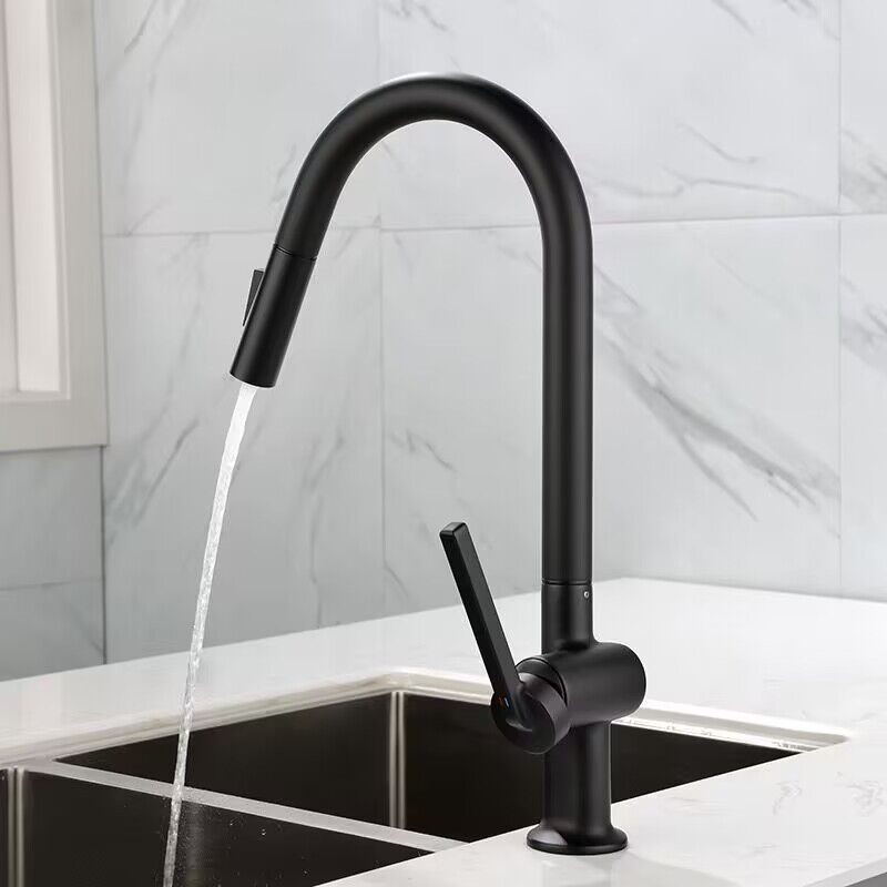 Brushed Gold Kitchen Faucet with Pull Down Sprayer High Arc Brassl Material One Hole Kitchen Mixer