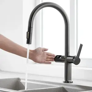 Brass Filter Kitchen Faucet Hot and Cold Mixer Taps Black Smart Kitchen Faucet With Digital Display