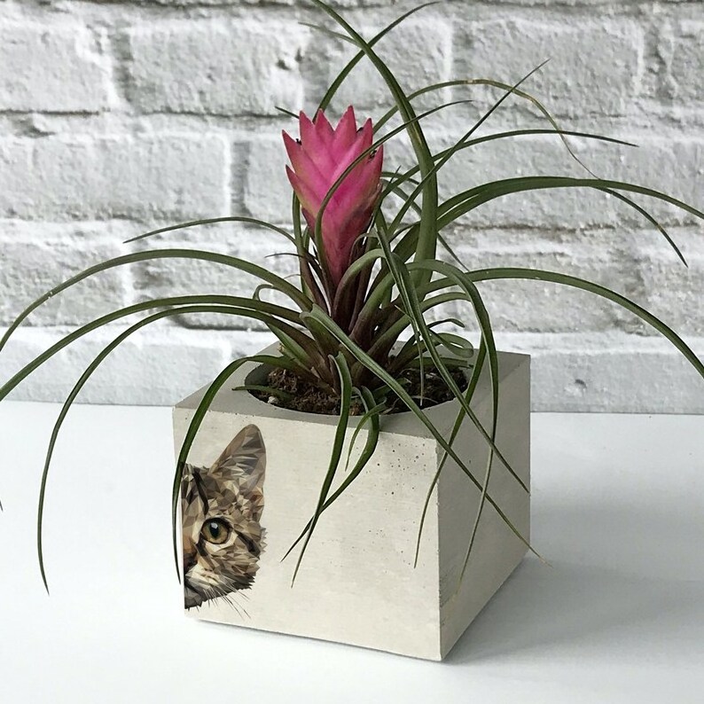 Cat Printed Concrete Planter Cement Flower Pot Mold