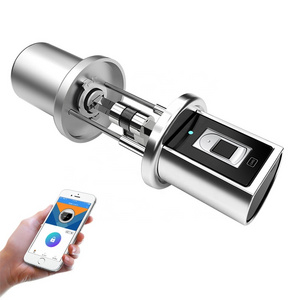 Digital Smart App Swipe Card Fingerprint Cylinder Door Lock