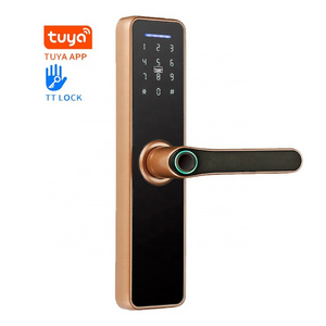 Outdoor smart mortise door lock digital password security biometric fingerprint door mortise lock