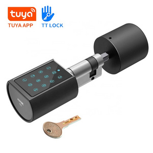 High Security Smartphone Electronic Digital Cylinder password lock RFID smart pin profile cylinder door lock