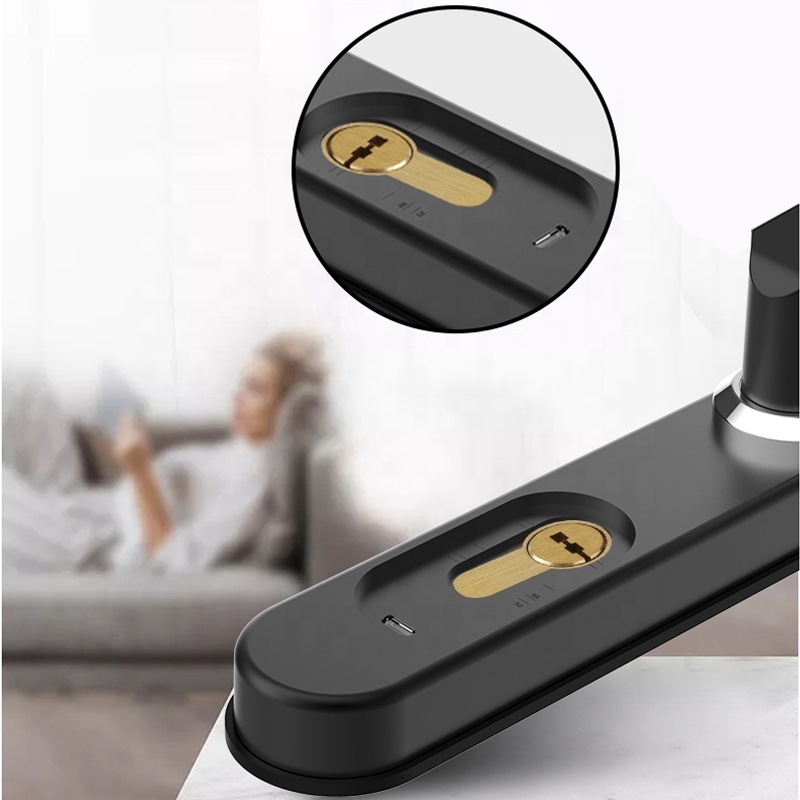 smart home sliding door lock for aluminum doors fingerprint password card sliding door hook lock