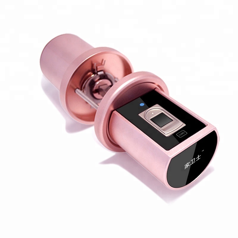 Digital Smart App Swipe Card Fingerprint Cylinder Door Lock