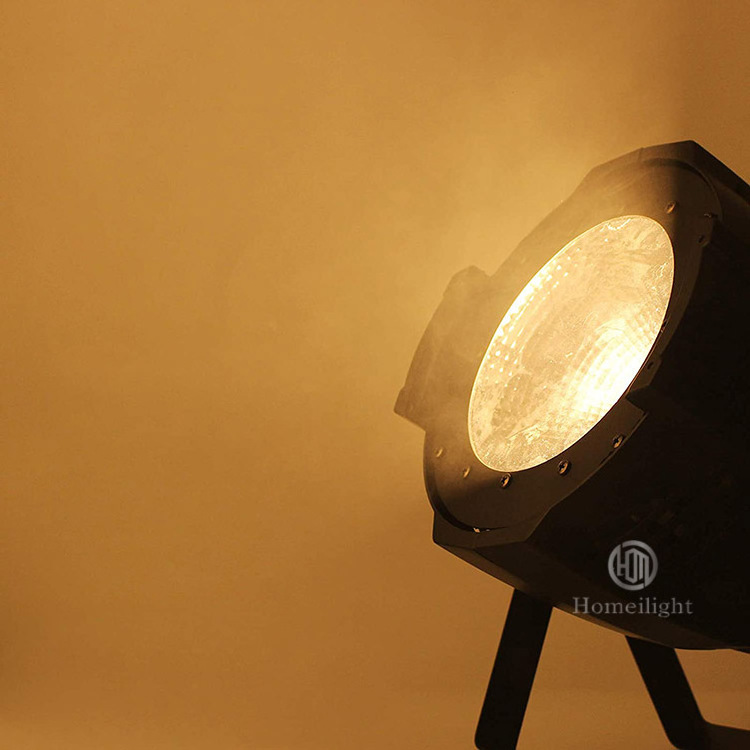 Best Selling LED Par 100W COB Light Warm White/Cold White Blinder LED Studio Par Light