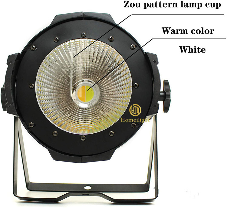 Best Selling LED Par 100W COB Light Warm White/Cold White Blinder LED Studio Par Light