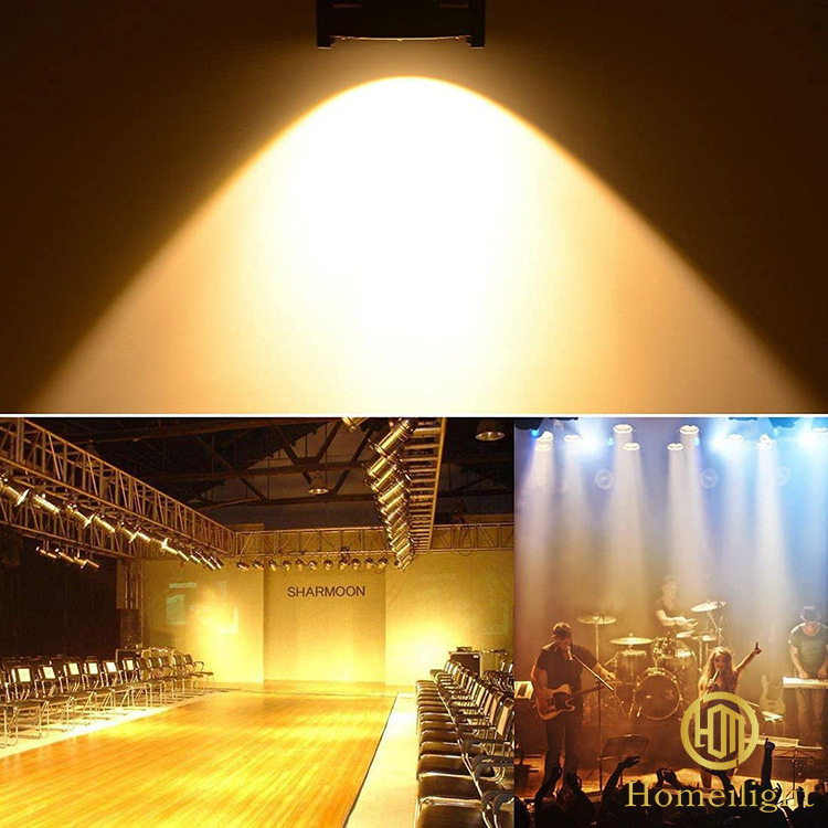 Best Selling LED Par 100W COB Light Warm White/Cold White Blinder LED Studio Par Light