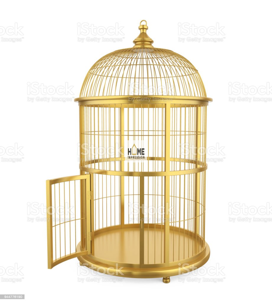 Luxury Big Metal Bird & Pet Cages Designer Antique Metal Bird Cages Wire Mesh Wholesale Pet Cages