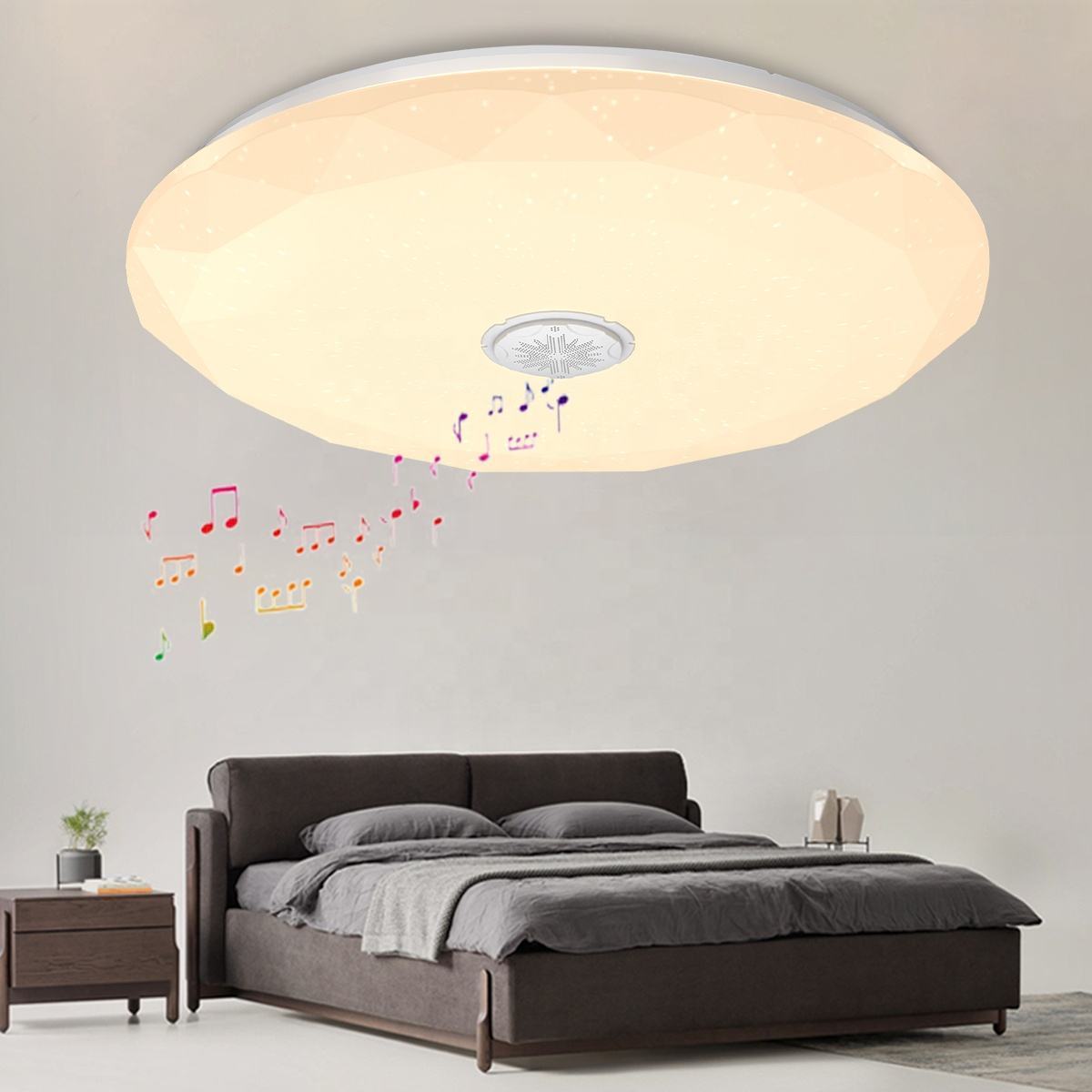 Modern CCT Adjustable Smart Triproof Acrylic Plastic Round Voice Control Light Flush Mount Modern LED Indoor Ceiling Light