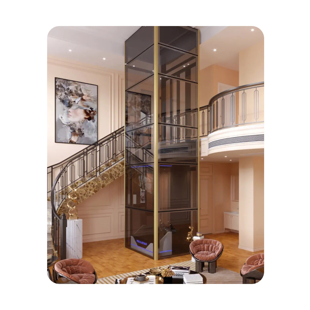 Indoor outdoor traction home elevator small home lift screw lift elevator home