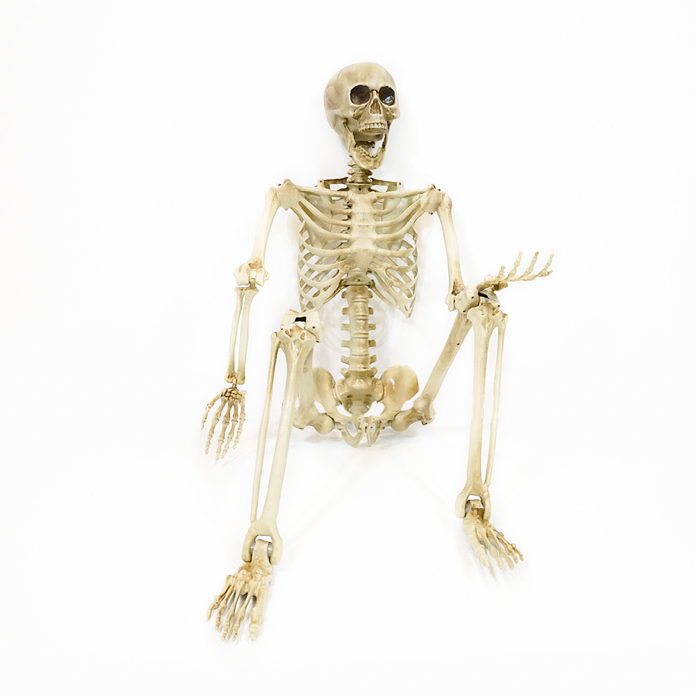 60inch Halloween Life Size Realistic Full Body Adjustable Joints Human Halloween Skeleton For Sale