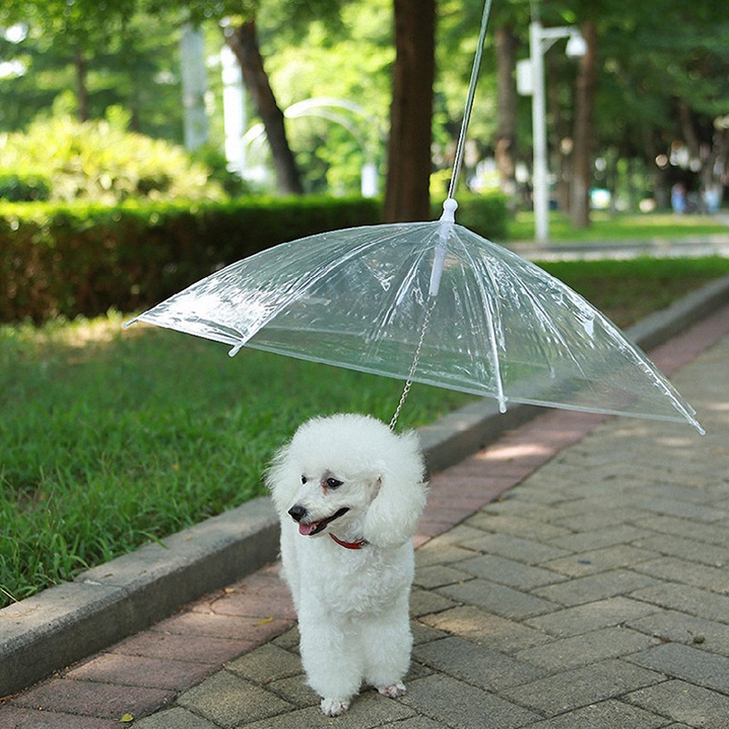 Dog Pet Umbrella for Small Dogs, Pet Umbrella With Leash Holder