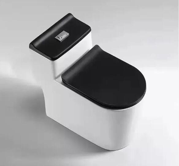 Modern Economic South America hotel dual flush siphonic one piece toilet inodoro cermico for bathroom