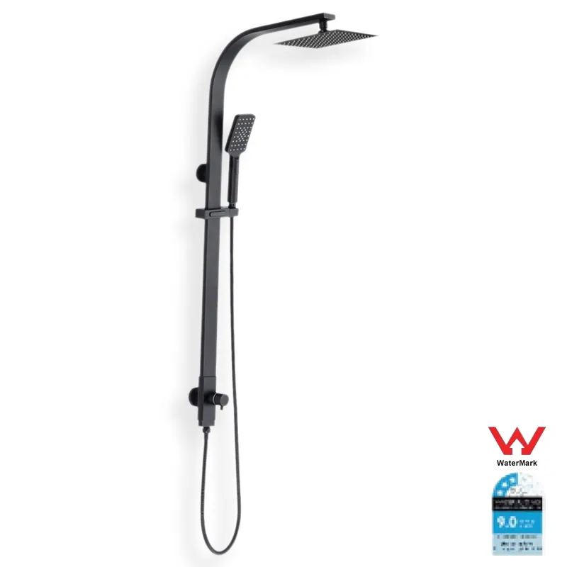 Black exposed 2 functions shower set hot and cold shower faucet