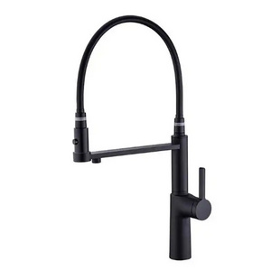 Hot Selling High Arc Black Kitchen Faucet Dual-Mode Pull Out Kitchen Sink Faucets Lead-Free Brass Filter Faucet