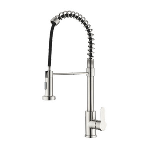 Kitchen Faucet with Pull Down Sprayer Commercial Single Handle Kitchen Sink Faucets Brushed Nickel Stainless Steel