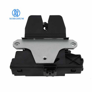 Sorghum 3M51R442A66AR 3M51R442A666AR 1920840 1856670 R442A66DC 1859161 Door Locking Latch Actuator For Ford Focus MK2 Saloon