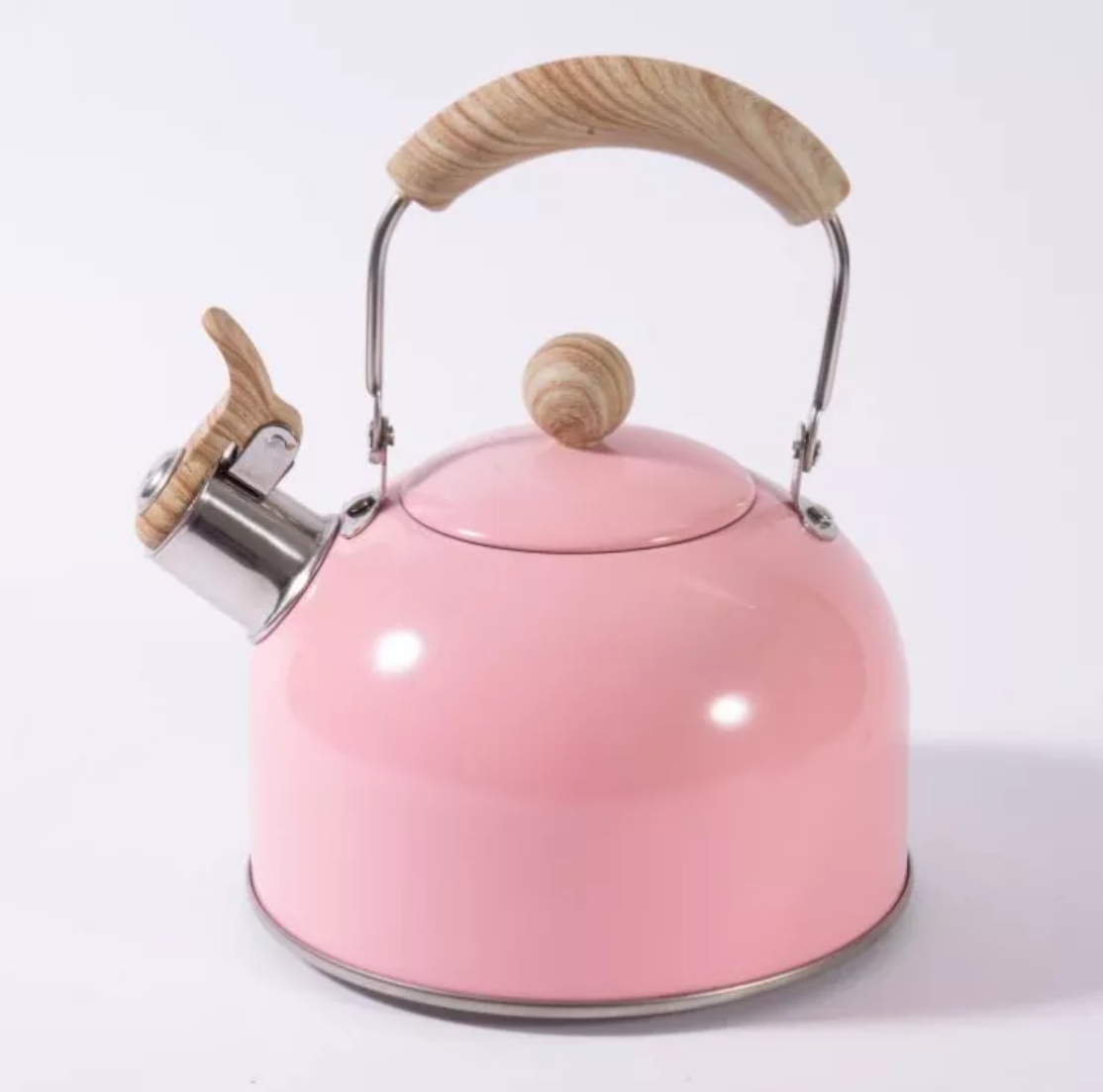 Hot Selling camping water stove top whistling tea kettle not aluminum