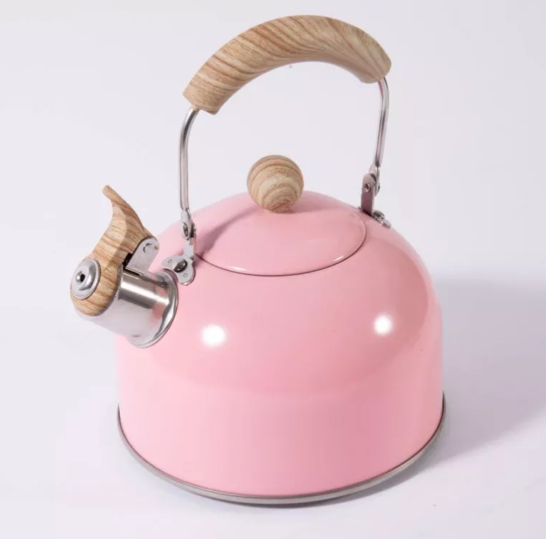 Hot Selling camping water stove top whistling tea kettle not aluminum