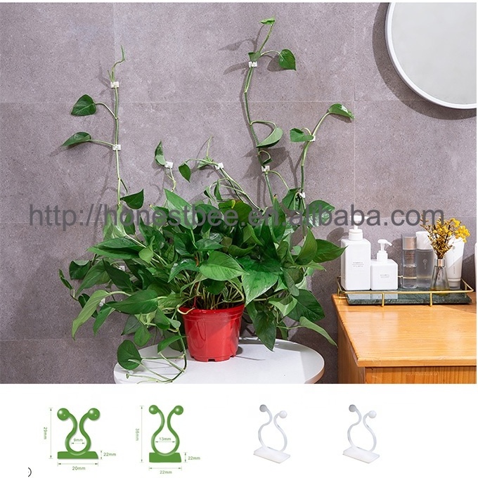 Wall Hooks Wall Plants No-Hole Hanger Hooks Vine Holder for Wall Climbing Plants