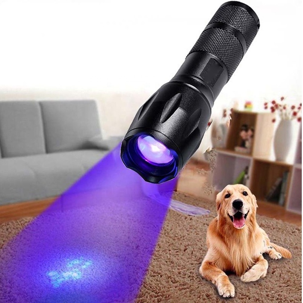 365nm uv led torch Cat Urine Pet Stains Bed Detector Ultraviolet amber detector 395nm Handheld Portable Blacklight uv flashlight