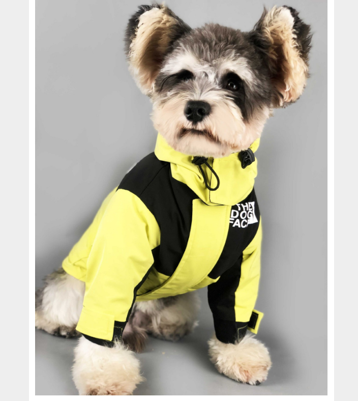 Outdoor Winter Dog Clothes Winter Down Jacket Teddy Dog Coat Schnauzer Pomeranian Corgi Pet Clothes