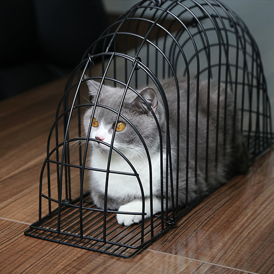 Wholesale cat bath cage anti-scratch and blow-dry cat steel cage