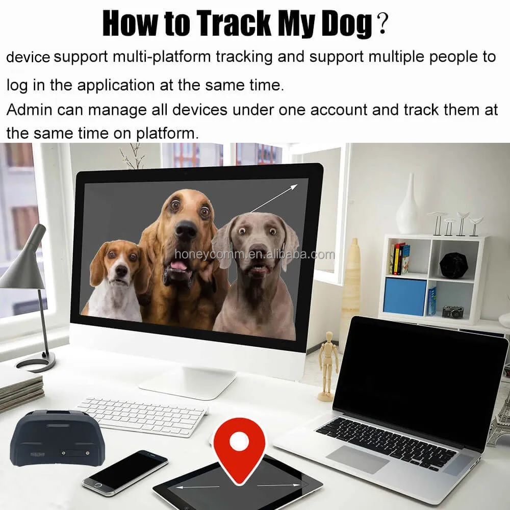 Long Standby wifi gps AGPS BDS 2G 4G real time tracking Hound GPS Tracker Dog Collar