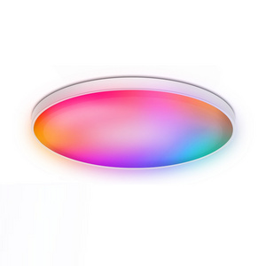 HoneyFly LED RGB+CCT Ceiling Light 30W 220/110V Bluetooth Speaker Dimmable Colorful Light Smart Lamp Mobile Control Dining Room