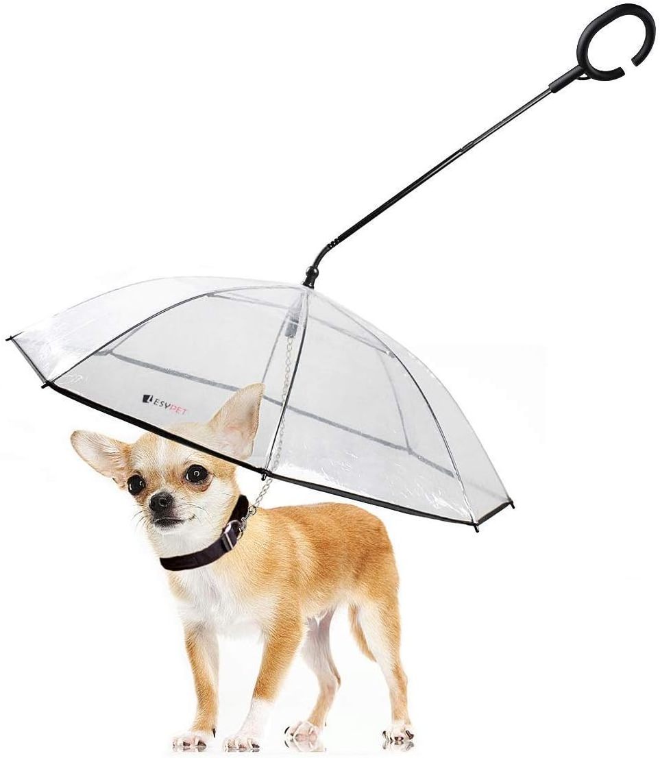 Luxury Outdoor Folding Easy View Dog Umbrella Transparent Rainproof Snowproof Umbrellas With Leash For Pets Adjustable Umbrella