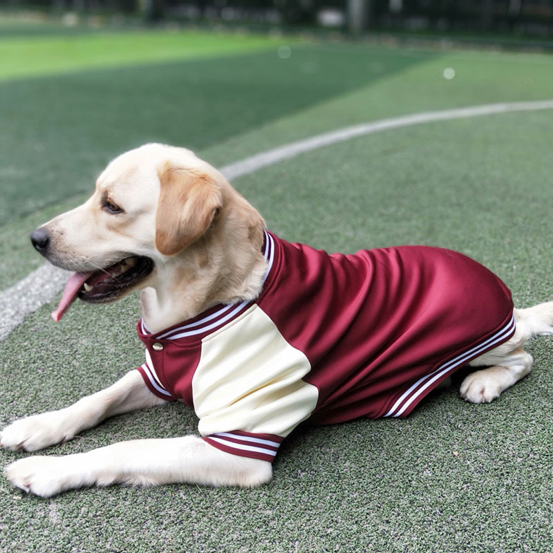 Dog 2023 winter Baseball suit pet coat clothes popular fashion large dog outdoor apparel Comfortable Dog Clothes Golden Labrador