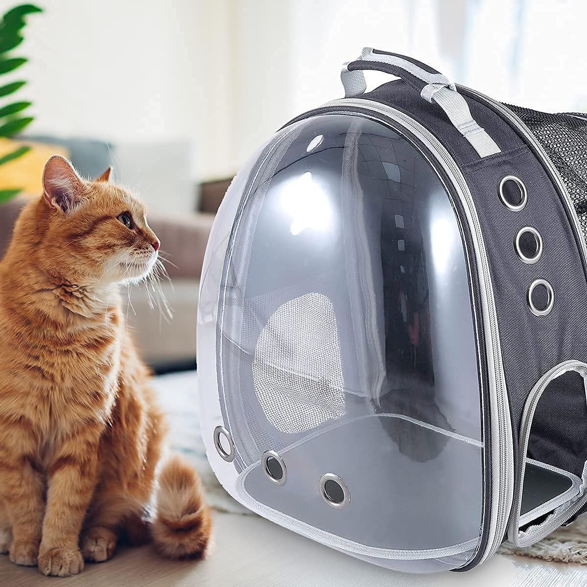 Hot Sale Back Expandable Transparent Bubble Space Capsule Pet Cat Carrying Carrier Backpack Pet Travel Carrier Bag