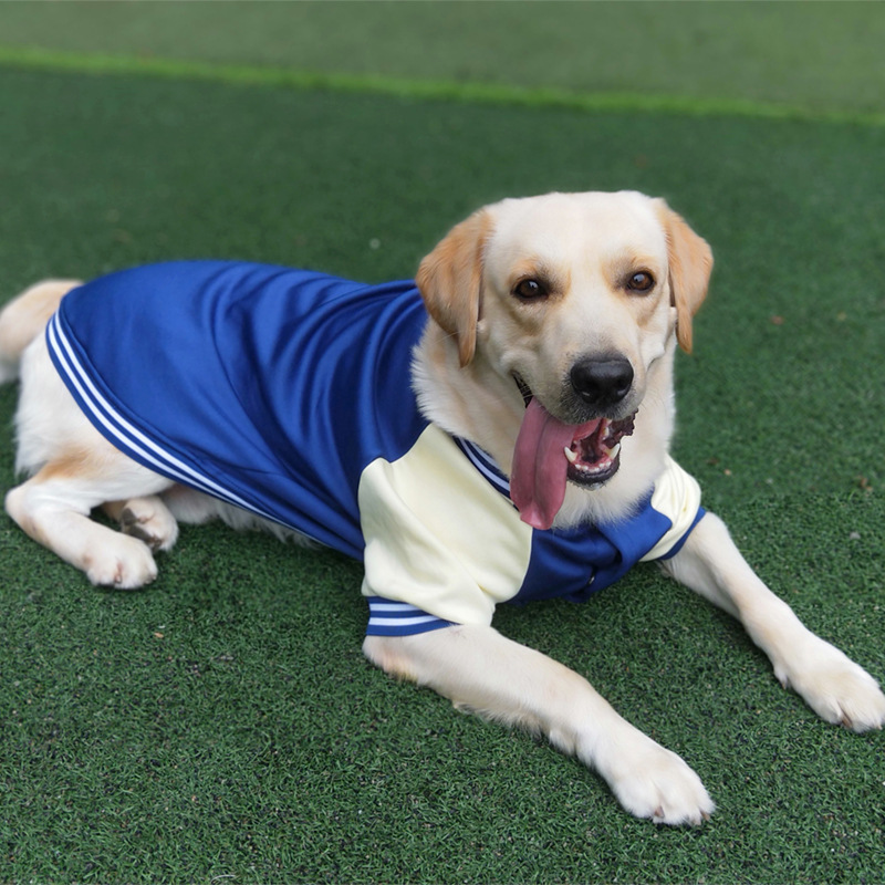 Dog 2023 winter Baseball suit pet coat clothes popular fashion large dog outdoor apparel Comfortable Dog Clothes Golden Labrador