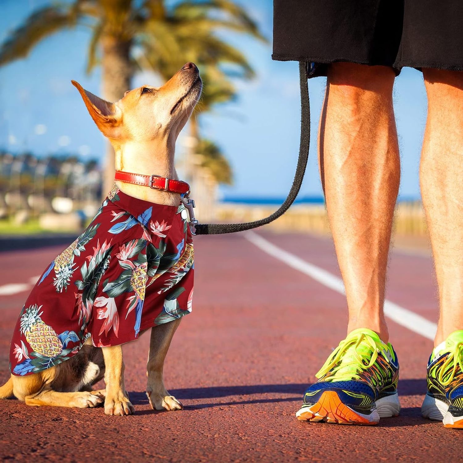 2024 new Pet clothing Hawaiian Seaside shirt Summer T-Shirts Hawaii Style Floral Dog Breathable Cool Clothes Pet dog beach shirt