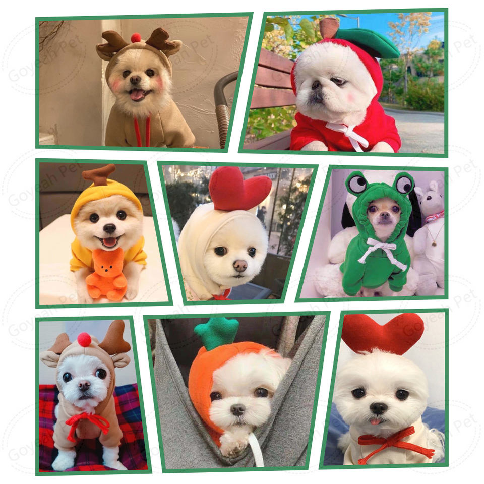 Pet color matching hoodie popular Dog outdoor playing fashion clotlhes Hooded Sweatshirt Pet Clothes Sweaters with Hat