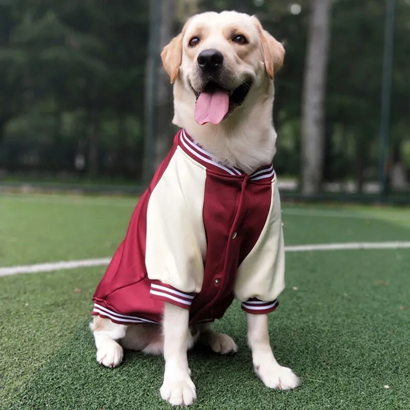 Dog 2023 winter Baseball suit pet coat clothes popular fashion large dog outdoor apparel Comfortable Dog Clothes Golden Labrador