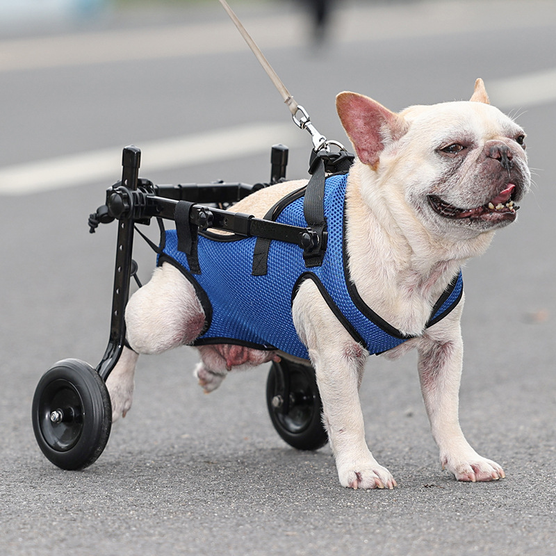 Manufacturer Adjustable Pet Dog Wheelchair for Disabled Hind Legs Walking Light Weight pet stroller dog