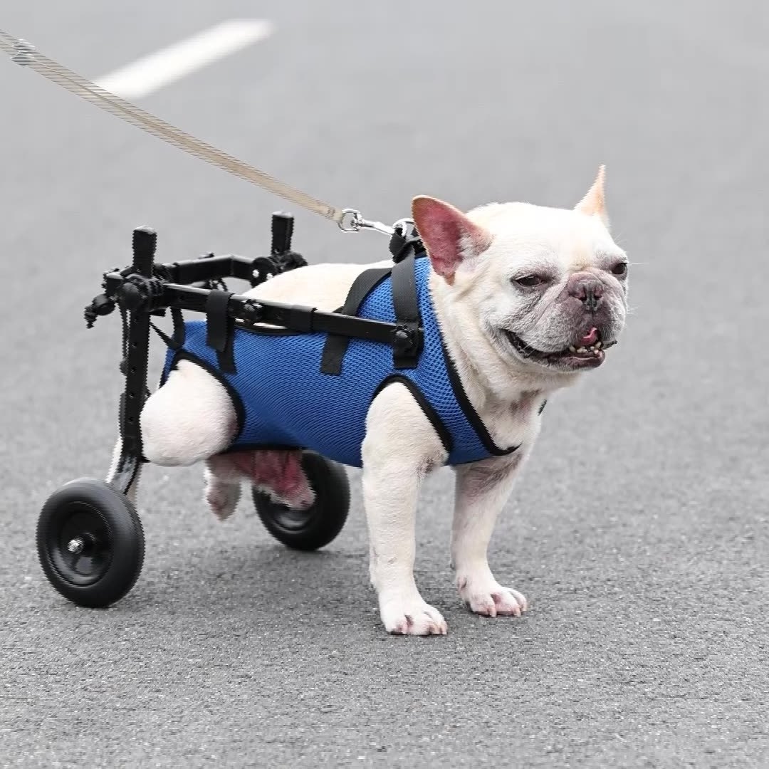 Manufacturer Adjustable Pet Dog Wheelchair for Disabled Hind Legs Walking Light Weight pet stroller dog