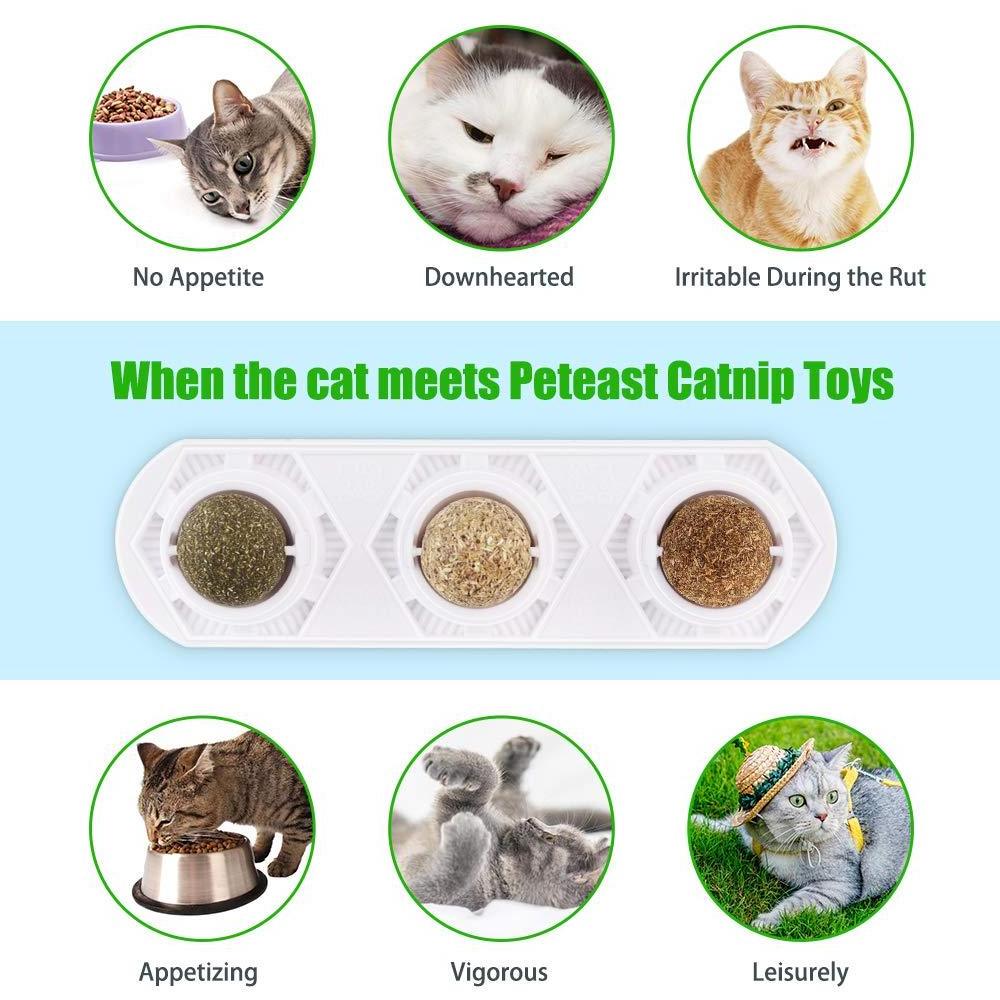 Catnip Toy Edible Ball Safe and Healthy cat Family Chasing Game Toys, Cleaning Teeth, Protecting The Stomach cat catnip toy