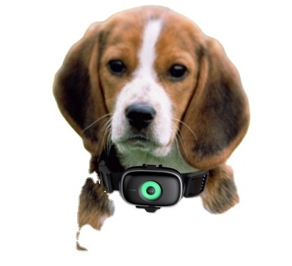 Wholesale Tractive Mini Gps Tracking Pet Tracker Collar Gps Para Gatos Gps Collar For Hunting Dogs