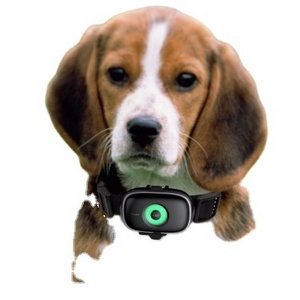 Wholesale Tractive Mini Gps Tracking Pet Tracker Collar Gps Para Gatos Gps Collar For Hunting Dogs