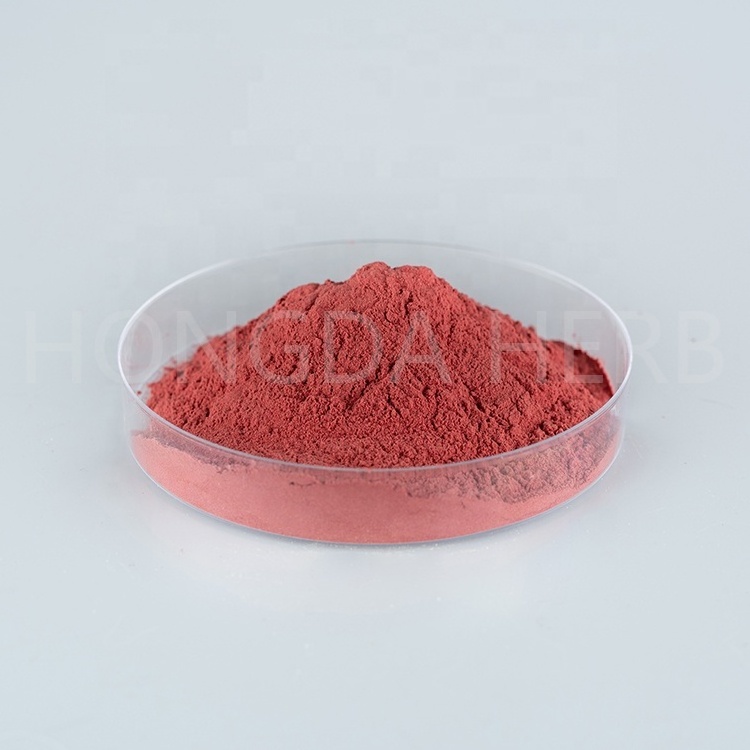 HONGDA Aronia Berry Fruit Powder