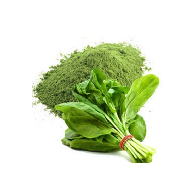 HONGDA Factory Supply Spinach Extract  Dry Dehydrated Spinach Powder