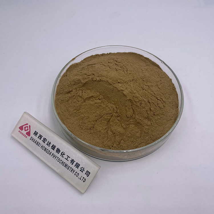 Shiitake Extract Powder 30% Polysaccharide Lentinan Shiitake Mushroom Extract