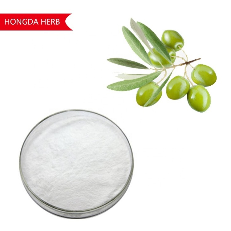 HONGDA Olea Europea 60% 70% 98% Olive Leaf Extract Oleanolic Acid