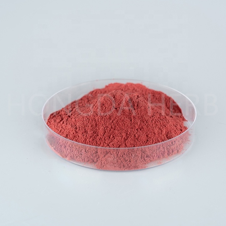 HONGDA Aronia Berry Fruit Powder