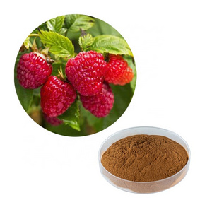 HONGDA Wholesale Raspberry Ketone Extract Raspberry Extract Raberry Powder